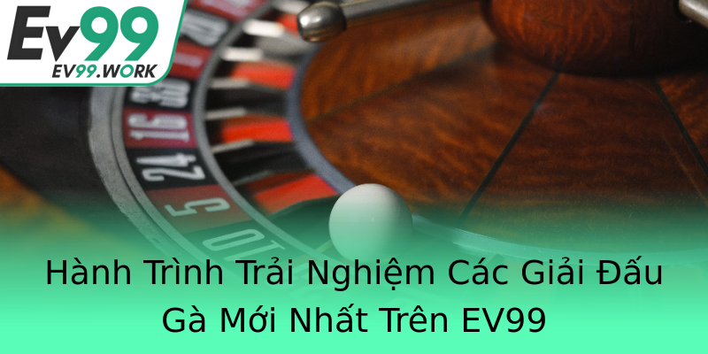 Hành Trình Trải Nghiệm Các Giải Đấu Gà Mới Nhất Trên EV99 Hành Trình Trải Nghiệm Các Giải Đấu Gà Mới Nhất Trên EV99