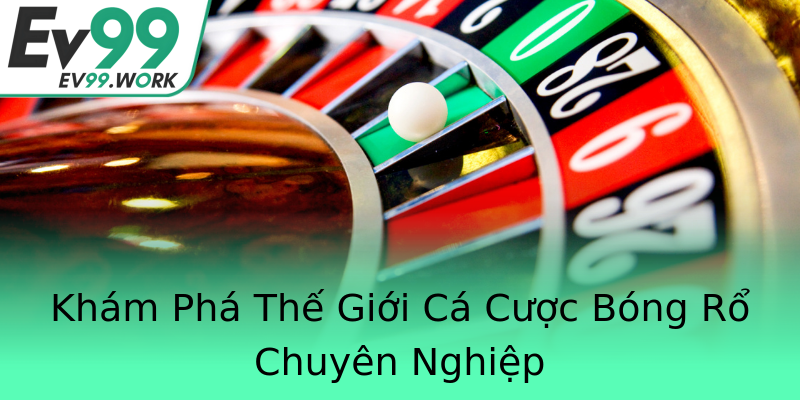 Khám Phá Thế Giới Cá Cược Bóng Rổ Chuyên Nghiệp Khám Phá Thế Giới Cá Cược Bóng Rổ Chuyên Nghiệp