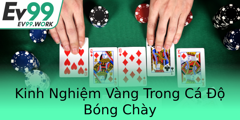 Kinh Nghiệm Vàng Trong Cá Độ Bóng Chày Kinh Nghiệm Vàng Trong Cá Độ Bóng Chày