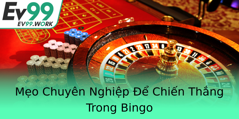 Mẹo Chuyên Nghiệp Để Chiến Thắng Trong Bingo Mẹo Chuyên Nghiệp Để Chiến Thắng Trong Bingo
