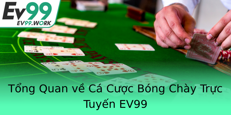 Tổng Quan về Cá Cược Bóng Chày Trực Tuyến EV99 Tổng Quan về Cá Cược Bóng Chày Trực Tuyến EV99